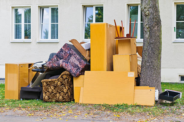 Yard Cleanup Services in Reed City, MI