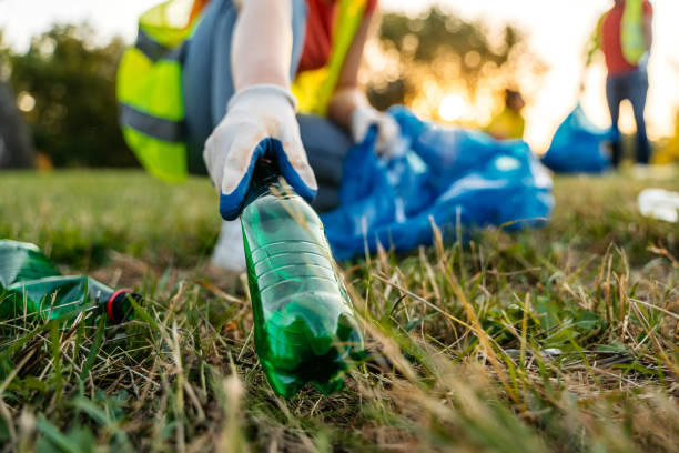 Best Yard Cleanup Services  in Reed City, MI